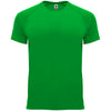Verde Helecho