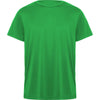 Verde Helecho