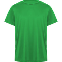 Verde Helecho