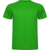 Verde Helecho