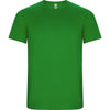 Verde Helecho