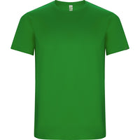 Verde Helecho