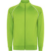 Verde Fluor