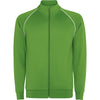 Verde Helecho