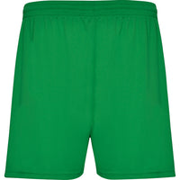 Verde Helecho