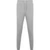Gris Vigore