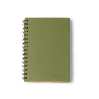 Verde helecho
