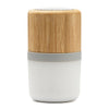 Bambu