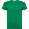 Verde Kelly
