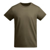 Verde Militar