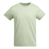 Verde Mist