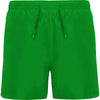 Verde Helecho