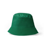 Verde helecho