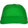 Verde helecho