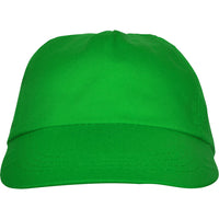 Verde helecho