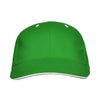 Verde helecho