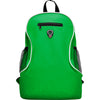 Verde helecho