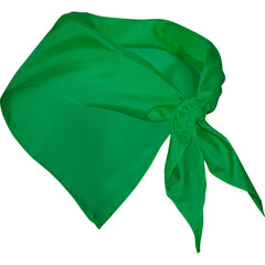 Pañuelos FESTERO PN9003 Verde helecho personalizable con tu logo | LogoLider