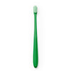 Verde helecho
